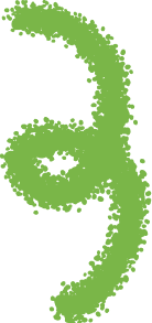 зеленый узор